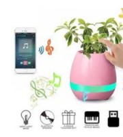 ক্রিয়েটিভ ব্লু-টুথ স্মার্ট মিউজিক ফ্লাওয়ারপট